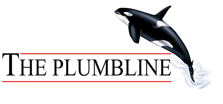 plumbline logo, the plumbline